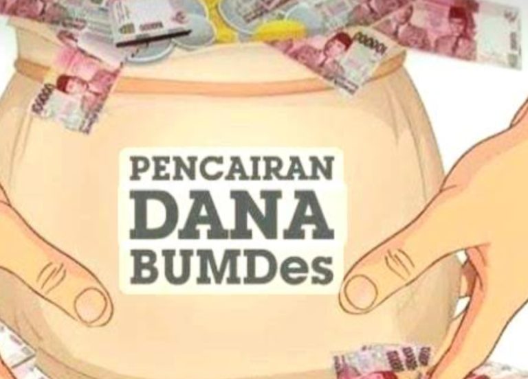 WhatsApp Image 2025-02-02 at 17.12.42 (1)